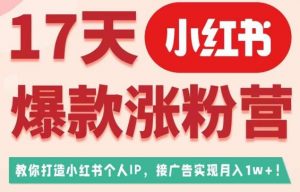 17天小红书爆款涨粉营（广告变现方向），教你打造小红书博主IP、接广告变现的-易得个人分享