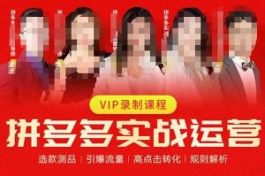 2023推易拼多多实战运营，选款测品、引爆流量、高点击转化、规则解析-易得个人分享