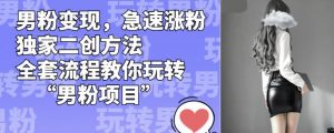 男粉变现，急速涨粉独家二创方法，全套流程教你玩转“男粉项目”【揭秘】-易得个人分享
