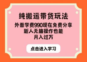 纯搬运带货玩法，外面学费990现在免费分享，新人无脑操作也能月入过万【揭秘】-易得个人分享
