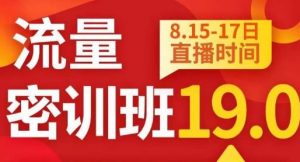 秋秋线上流量密训班19.0，打通流量关卡，线上也能实战流量破局-易得个人分享