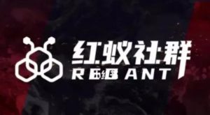 社群运营：红蚁社群【48节落地系统课程+2000人高端社群】-易得个人分享