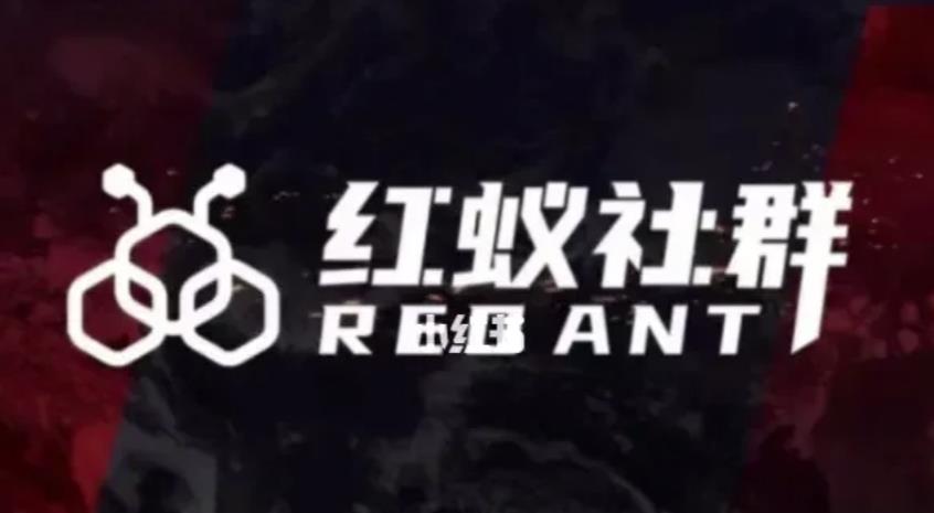 社群运营：红蚁社群【48节落地系统课程+2000人高端社群】-易得个人分享