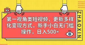 第一视角类短视频，更新多样化变现方式，新手小白无门槛操作，日入500+【揭秘】-易得个人分享