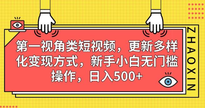 第一视角类短视频，更新多样化变现方式，新手小白无门槛操作，日入500+【揭秘】-易得个人分享