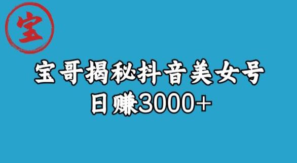 宝哥揭秘抖音美女号玩法，日赚3000+【揭秘】-易得个人分享