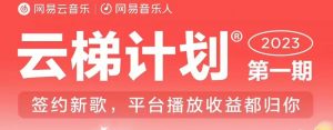 2023年8月份网易云最新独家挂机技术，真正实现挂机月入5000【揭秘】-易得个人分享