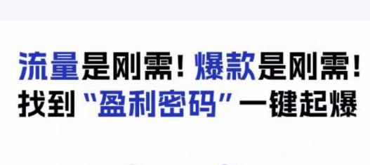 电商盈利精品课：6大盈利密码让产品更好卖，流量是刚需！爆款是刚需！找到”盈利密码”一键起爆-易得个人分享