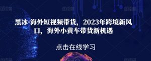 黑冰·海外短视频带货，2023年跨境新风口，海外小黄车带货新机遇-易得个人分享