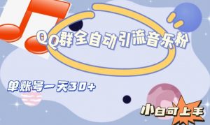 QQ群全自动引流音乐粉，单账号一天轻松引流30+-易得个人分享