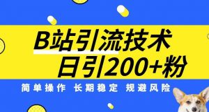 B站引流技术：每天引流200精准粉，简单操作，长期稳定，规避风险-易得个人分享