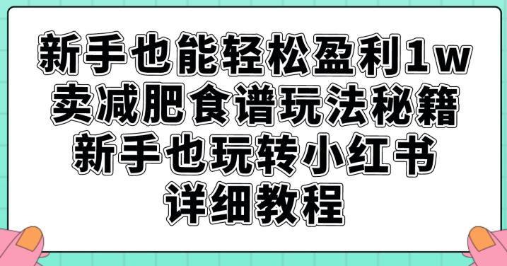 新手也能轻松盈利1w，卖减肥食谱玩法秘籍，新手也玩转小红书详细教程【揭秘】-易得个人分享