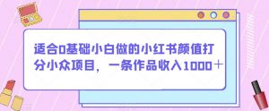 适合0基础小白做的小红书颜值打分小众项目，一条作品收入1000＋【揭秘】-易得个人分享