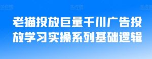 老猫投放巨量千川广告投放学习实操系列基础逻辑-易得个人分享