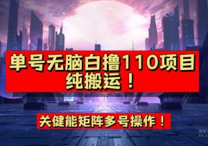 9月全网首发，单号直接白撸110！可多号操作，无脑搬运复制粘贴【揭秘】-易得个人分享