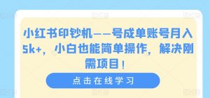 小红书印钞机——号成单账号月入5k+，小白也能简单操作，解决刚需项目【揭秘】-易得个人分享