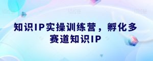 知识IP实操训练营，​孵化多赛道知识IP-易得个人分享