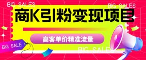商K引粉变现项目，高客单价精准流量【揭秘】-易得个人分享