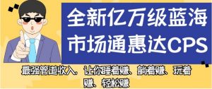 全新亿万级蓝海市场通惠达cps，最强管道收入，让你睡着赚、躺着赚、玩着赚、轻松赚【揭秘】-易得个人分享