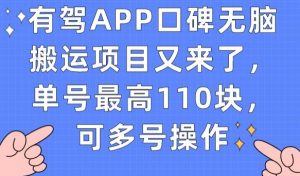 有驾APP口碑无脑搬运项目又来了，单号最高110块，可多号操作-易得个人分享