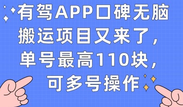 有驾APP口碑无脑搬运项目又来了，单号最高110块，可多号操作-易得个人分享