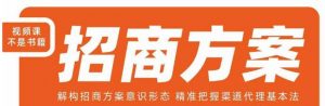 王昕招商方案，解构招商方案意识形态，精准把握渠道代理基本法-易得个人分享