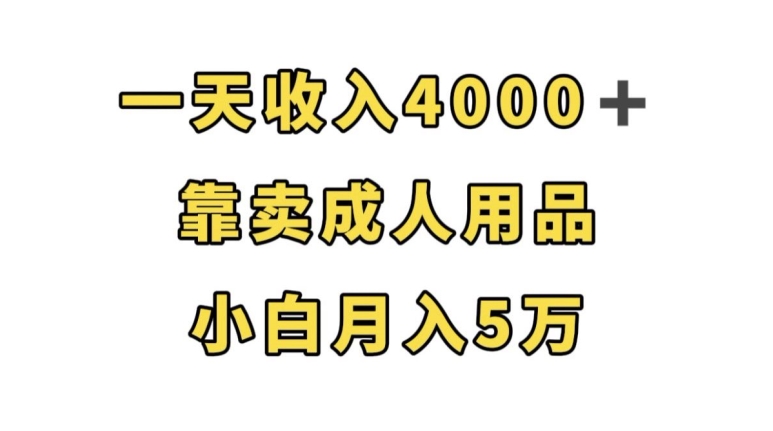 一天收入4000+，靠卖成人用品，小白轻松月入5万【揭秘】-易得个人分享