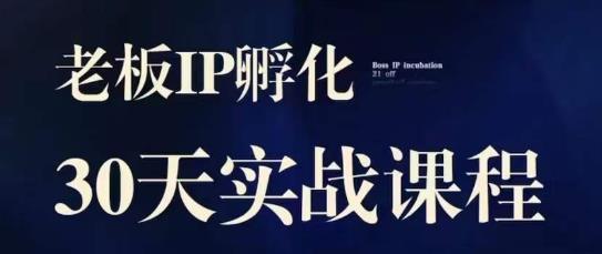 诸葛·2023老板IP实战课，实体同城引流获客，IP孵化必听-易得个人分享