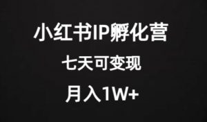 价值2000+的小红书IP孵化营项目，超级大蓝海，七天即可开始变现，稳定月入1W+-易得个人分享