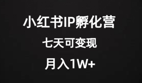 价值2000+的小红书IP孵化营项目，超级大蓝海，七天即可开始变现，稳定月入1W+-易得个人分享