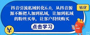 抖音引流私域转化6.0，从抖音源源不断把人加到私域，让加到私域的粉丝买单，让客户持续购买-易得个人分享