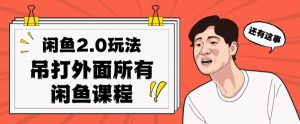 闲鱼2.0玩法单号每天日入2000，吊打市面所有课程-易得个人分享