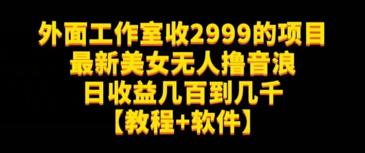 外面工作室收2999的项目最新美女无人撸音浪日收益几百到几千【教程+软件】（仅揭秘）-易得个人分享