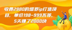 收费2980的塔罗ip打造项目，单价198-999不等，5天赚了2000块【揭秘】-易得个人分享