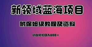 虚拟资源蓝海领域新项目，轻松日入800＋，附保姆级教程及资料-易得个人分享
