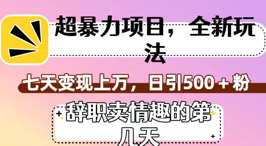超暴利项目，全新玩法（辞职卖情趣的第几天），七天变现上万，日引500+粉【揭秘】-易得个人分享