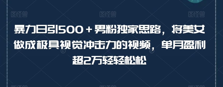 暴力日引500＋男粉独家思路，将美女做成极具视觉冲击力的视频，单月盈利超2万轻轻松松-易得个人分享