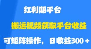 搬运视频获取平台收益，平台红利期，附保姆级教程【揭秘】-易得个人分享