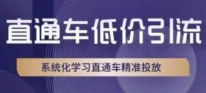 直通车低价引流课，系统化学习直通车精准投放-易得个人分享