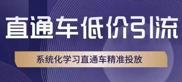 直通车低价引流课，系统化学习直通车精准投放-易得个人分享