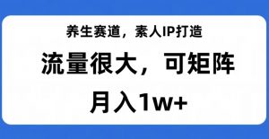 养生赛道，素人IP打造，流量很大，可矩阵，月入1w+【揭秘】-易得个人分享