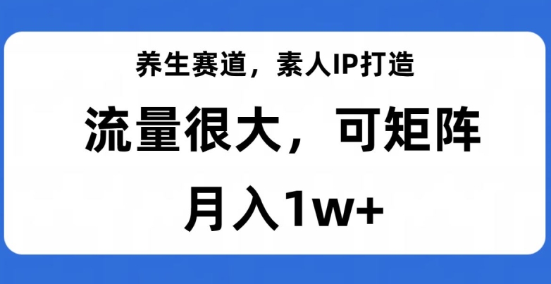 养生赛道，素人IP打造，流量很大，可矩阵，月入1w+【揭秘】-易得个人分享