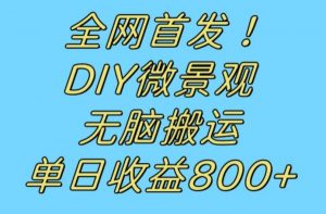 全网首发冷门赛道！DIY微景观，无脑搬运视频，日收益800+【揭秘】-易得个人分享