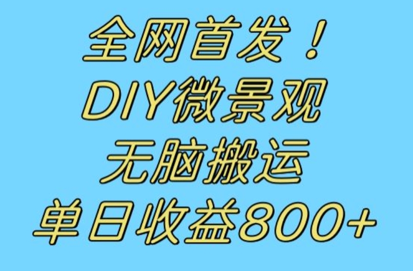 全网首发冷门赛道！DIY微景观，无脑搬运视频，日收益800+【揭秘】-易得个人分享