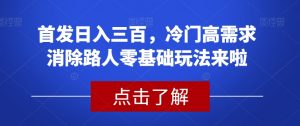 首发日入三百，冷门高需求消除路人零基础玩法来啦【揭秘】-易得个人分享
