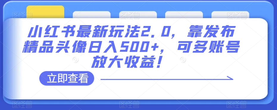 小红书最新玩法2.0，靠发布精品头像日入500+，可多账号放大收益！【揭秘】-易得个人分享