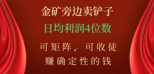 金矿旁边卖铲子，赚确定性的钱，可矩阵，可收徒，日均利润4位数【揭秘】-易得个人分享