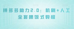 拼多多助力2.0：机刷+人工全套喂饭式教程【揭秘】-易得个人分享