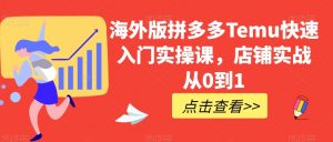 海外版拼多多Temu快速入门实操课，店铺实战从0到1-易得个人分享