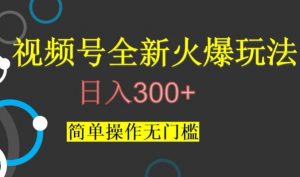 视频号最新爆火玩法，日入300+，简单操作无门槛【揭秘】-易得个人分享